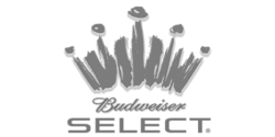 Budweiser Select